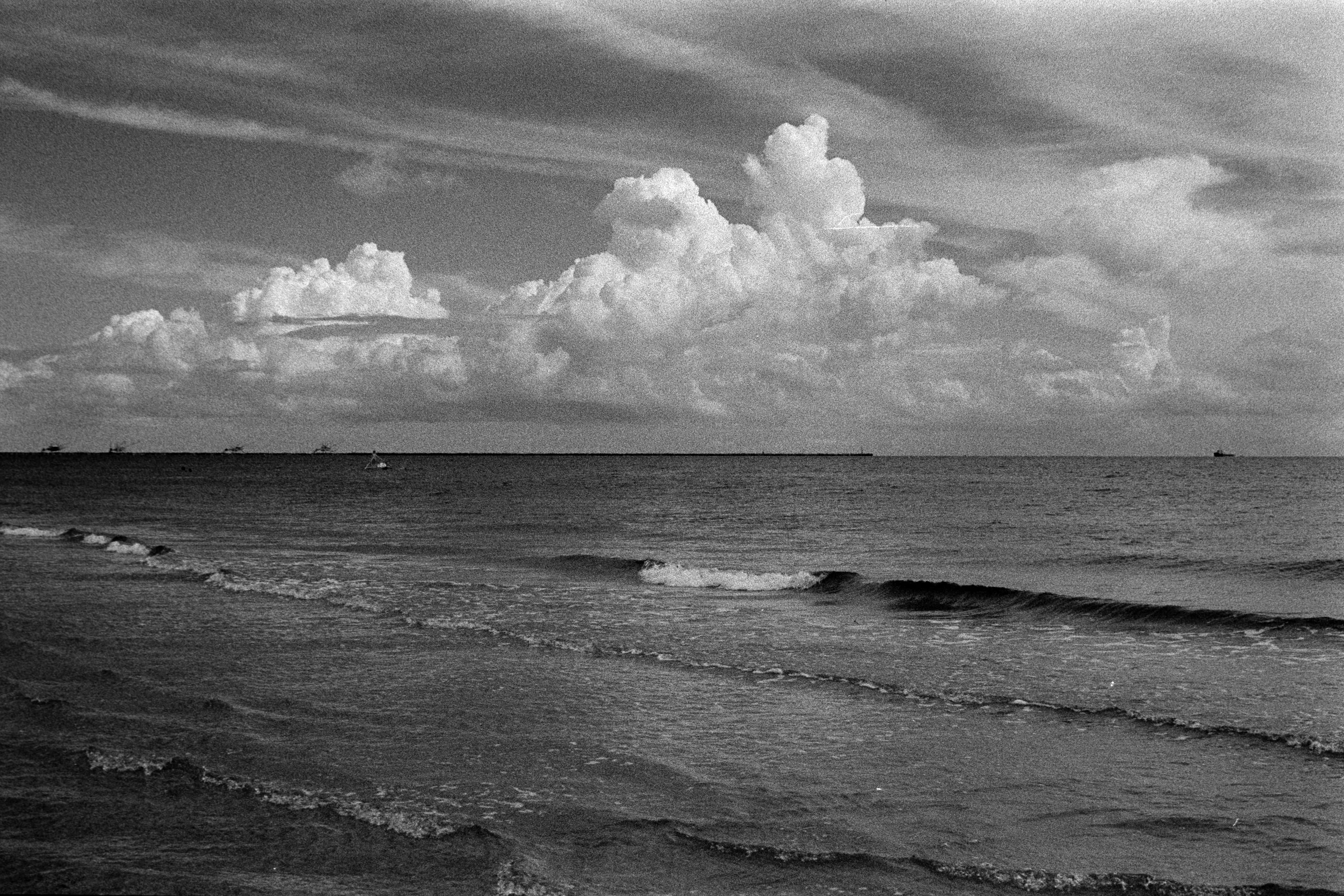 Whispers Beneath the Storm